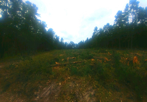 Lot Clearing